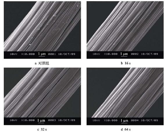 不同等離子處理時間對碳纖維表面的影響