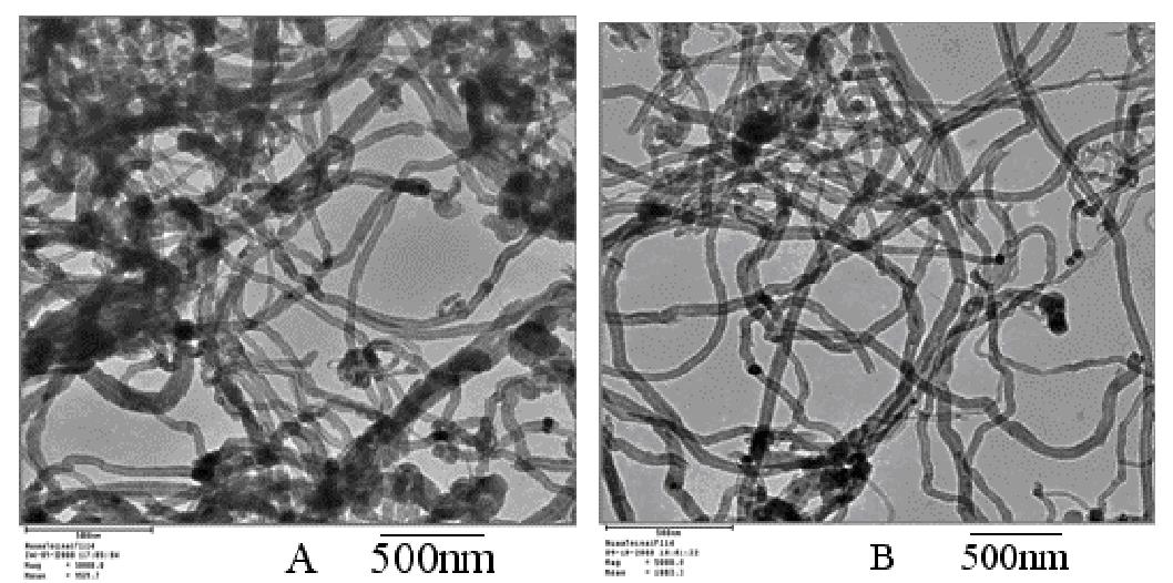 碳納米管 TEM 圖像（ A ）原始 MWCNT ；（ B ）等離子體處理 MWCNTs