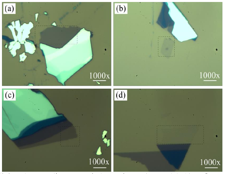 圖 3.3 低溫氧等離子體處理后單層 M o S 2 薄膜的光學(xué)顯微鏡圖。（a）樣品 1 # 的光鏡圖，（b）樣 品 2 # 處理 1 0 s 的光鏡圖，（ c）樣品 3 # 處理 2 0 s 的光鏡圖和（ d）樣品 4 # 處理 4 0 s 的光鏡圖。