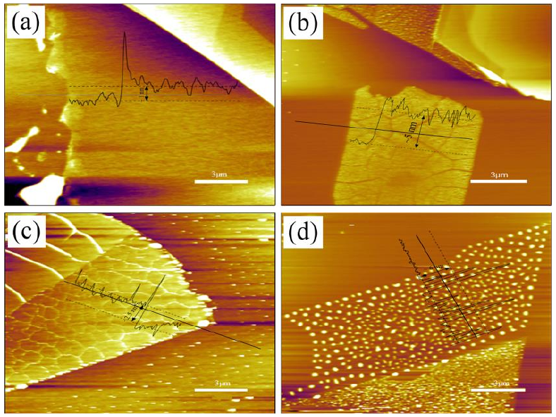 圖 3.5 低溫氧等離子體處理后單層 M o S 2 薄膜形貌圖。（a）樣品 1 # 的厚度~ 1 nm；（ b）樣品 2 # 的厚度~ 5 nm；（ c）樣品 3 # 的厚度~ 3.5 nm；（ d）樣品 4 # 的厚度~ 6 nm。